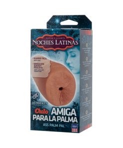 Noches Latinas Ur3 Palm Pal Ass