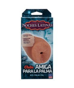 Noches Latinas Ur3 Palm Pal Ass