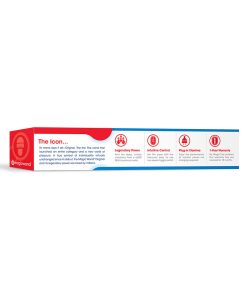 Magic Wand Original Hv-260 Massager