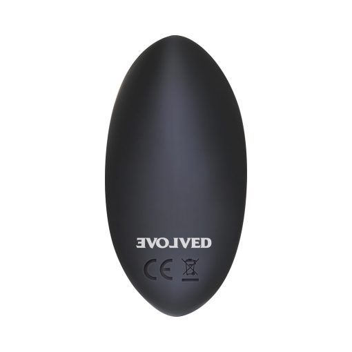 Evolved Hidden Pleasure Rechargeable Remote-Controlled Silicone Panty Vibrator Set Black - Image 9