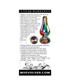 Evolved Rainbow Metal Anal Plug With Rainbow Gemstone Base Large