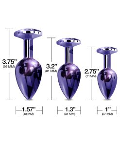 Nixie Metal Butt Plug Trainer Set 3-Piece Purple Metallic