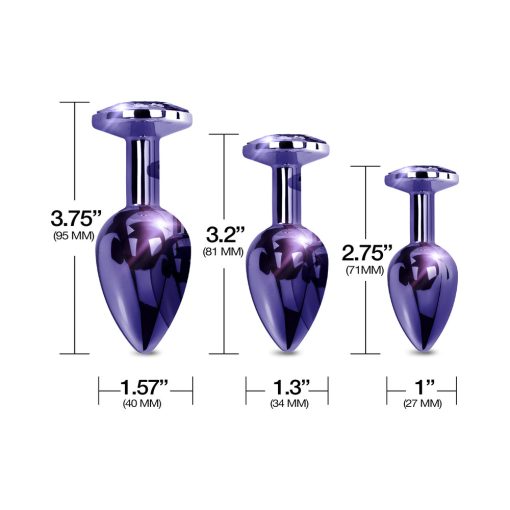 Nixie Metal Butt Plug Trainer Set 3-Piece Purple Metallic - Image 4