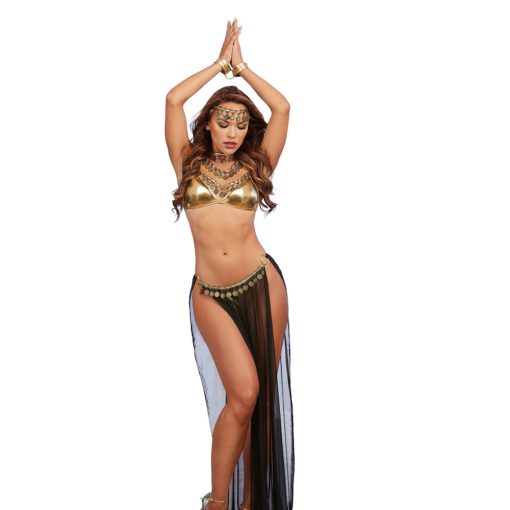Dreamgirl 3-Piece Gold Lame Halter Bra