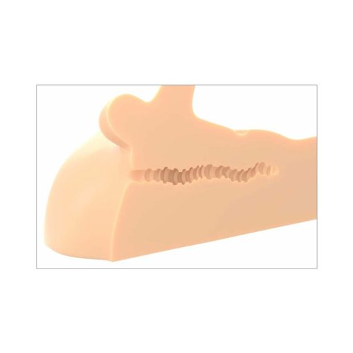 Pdx Plus Perfect Ride Anal Masturbator With 6 In. Posable Dildo Beige - Image 6