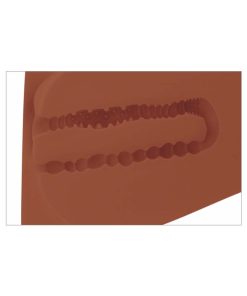 Pdx Plus Ez Bang Torso Dual Entry Masturbator Brown