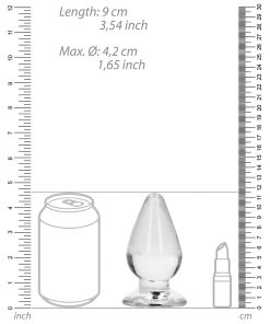 Realrock Crystal Clear 4.5 In. Anal Plug Clear