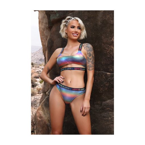 Fantasy Lingerie Vibes Love Is Love Underboob Cutout Top & Cheeky Panty Rainbow Holo S/M - Image 2