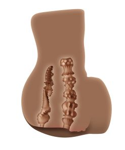 Zero Tolerance Rear Beauty Rechargeable Remote Controlled Vibrating Sucking Dual Entry Masturbator Tpe Dark