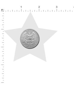 Pastease Crystal Sparkling Star Pasties Silver