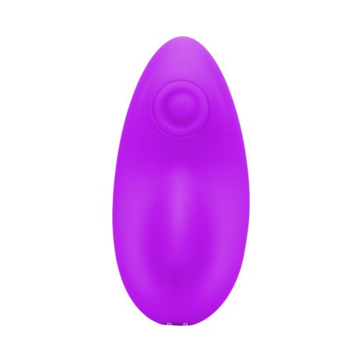 In A Bag Panty Vibe With Remote Purple - Image 4