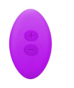 In A Bag Panty Vibe With Remote Purple