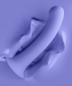 Biird Surii 6 In. Silicone Dildo With Suction Cup