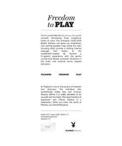 Playboy Big Bunny Energy Rechargeable Silicone Triple Stim Vibrator 2Am