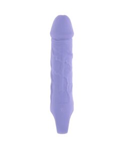 Evolved Purple Fantasy Rechargeable Vibrator Silicone