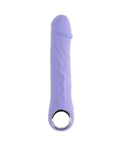 Evolved Purple Fantasy Rechargeable Vibrator Silicone