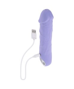 Evolved Purple Fantasy Rechargeable Vibrator Silicone