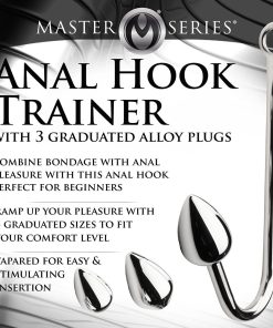 Master Series Anal Hook Trainer Anal Hook With 3 Plugs