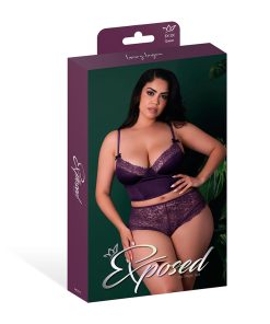 Magic Silk Leather & Lace Balconette Bustier & Cheeky Short Plum Queen Size