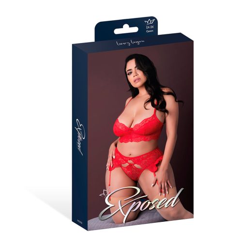 Magic Silk Sugar High Bra, Garter & Panty Set Red Queen Size - Image 4