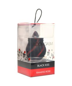 Bloomgasm Black Kiss Rimming Rose