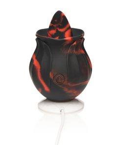 Bloomgasm Black Kiss Rimming Rose