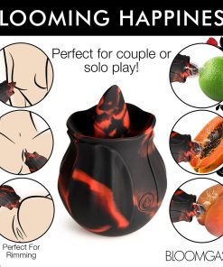 Bloomgasm Black Kiss Rimming Rose
