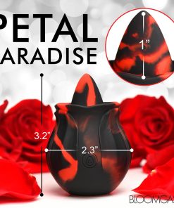 Bloomgasm Black Kiss Rimming Rose