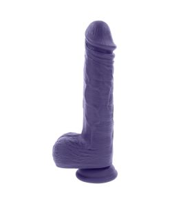 Evolved Pleasure Rider Rechargeable Dildo With Remote Silicone Purple