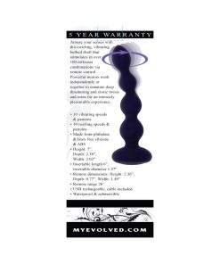 Evolved Pleasure Orbit Rechargeable Vibe With Remote Silicone Purple