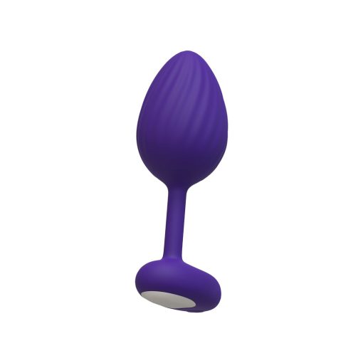 Luv Inc. Lp41: Luv Plug Purple L - Image 2
