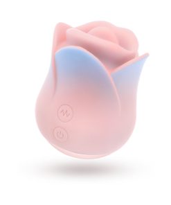Blush Collection Kissing Rose Pink