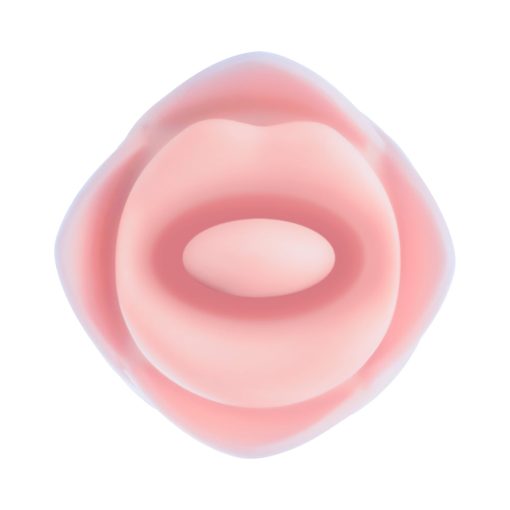 Blush Collection Kissing Rose Pink - Image 6