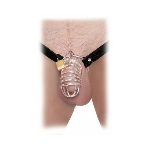 Fetish Fantasy Extreme Extreme Chastity Belt Locking Cock Cage Silver/Black - Image 2
