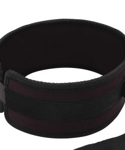 Lux Fetish Collar And Leash Set