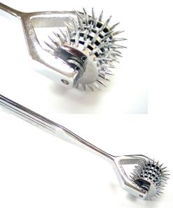 Stainless Steel Pinwheel X5