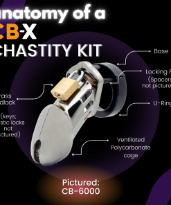 Cb-6000S Clear Male Chastity