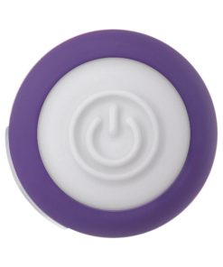 Evolved Purple Passion Rechargeable Petite Bullet Vibrator