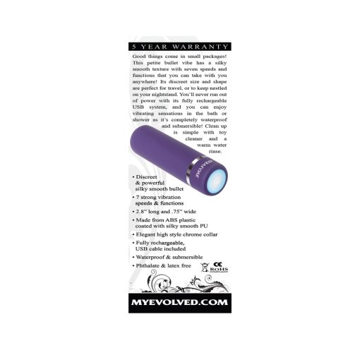 Evolved Purple Passion Rechargeable Petite Bullet Vibrator - Image 10