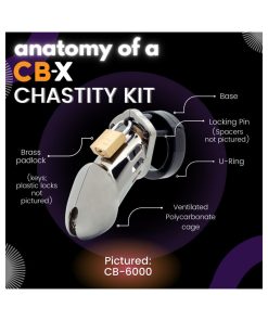 Cb-6000S Pink Male Chastity Cage