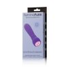 Femmefunn Booster Bullet Massager Rechargeable Silicone Vibrator Dark Purple