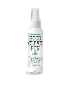 Good Clean Fun 2 Oz. Eucalyptus Toy Cleaner