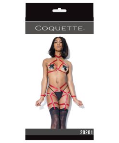 Darque Harness Top And Crotchless Panty Merlot