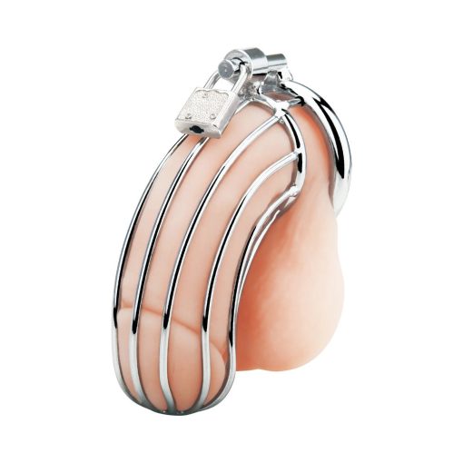 Blue Line Prisoner Cock Cage Silver - Image 4