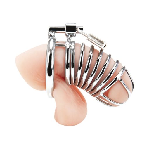 Blue Line Deluxe Chastity Cage Silver - Image 4