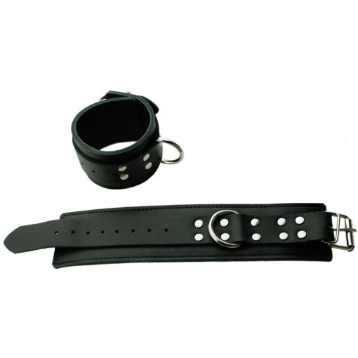 Wrist Restraints D Ring - Image 2