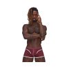 Male Power Sport Mesh Sport Mini Short Burgundy L