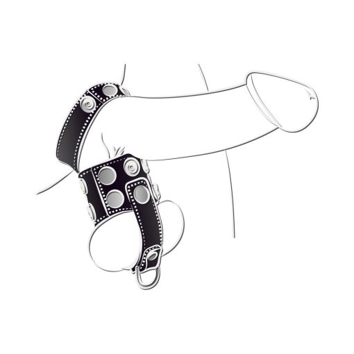 Ballgear Ball Stretcher With Separator & D-Ring - Black - Image 4