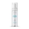 Wicked Simply Foam & Fresh Antibacterial Foaming Toy Cleaner 7 Oz.