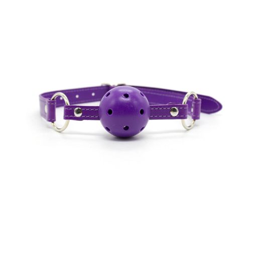 Ple'Sur 12-Piece Everything Bondage Kit Purple - Image 8